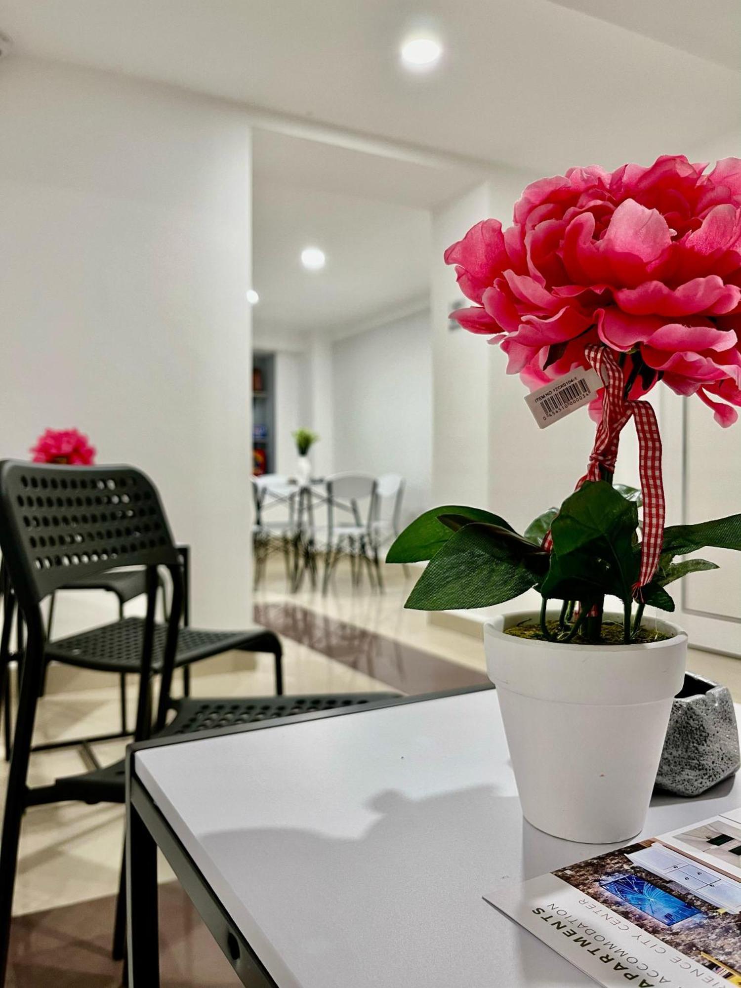 Cozy Hideout - Condo Hotel Timisoara Bagian luar foto